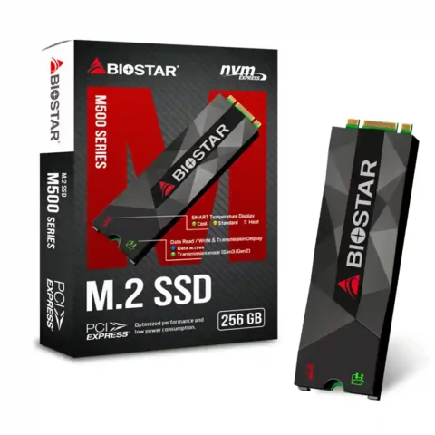 Biostar M500-256GB SSD NVMe M.2